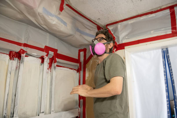 Best Mold Damage Restoration  in Paw Paw Lake, MI