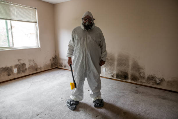 Best Mold Remediation for Healthcare Facilities  in Paw Paw Lake, MI